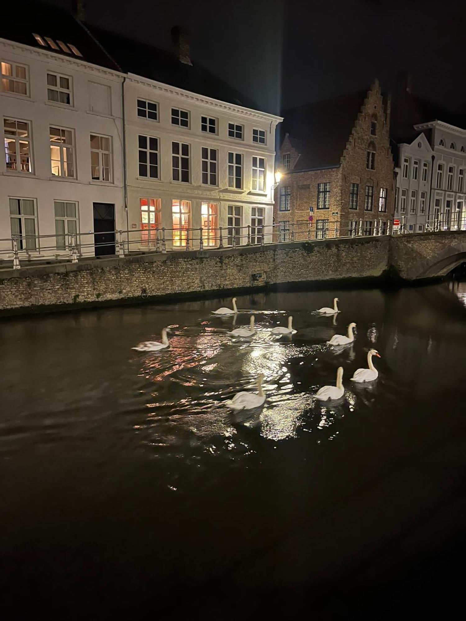 Residence9Brugge Ngoại thất bức ảnh